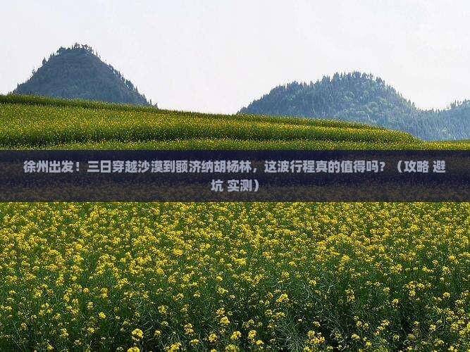 徐州到内蒙额济纳胡杨林三日游
