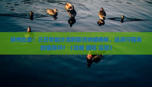徐州到内蒙额济纳胡杨林三日游
