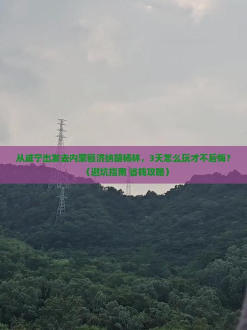 咸宁去内蒙额济纳胡杨林哪里玩