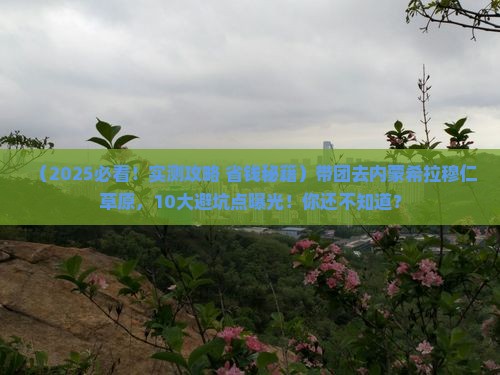 白银去内蒙希拉穆仁草原大型旅游团