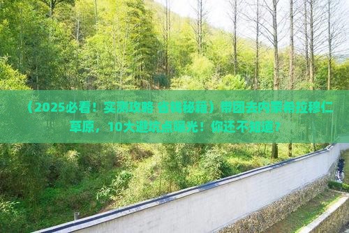 白银去内蒙希拉穆仁草原大型旅游团