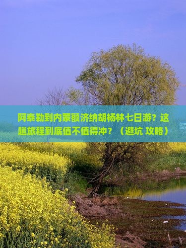 阿泰勒到内蒙额济纳胡杨林七日游