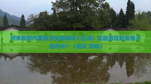 阿泰勒到内蒙额济纳胡杨林七日游