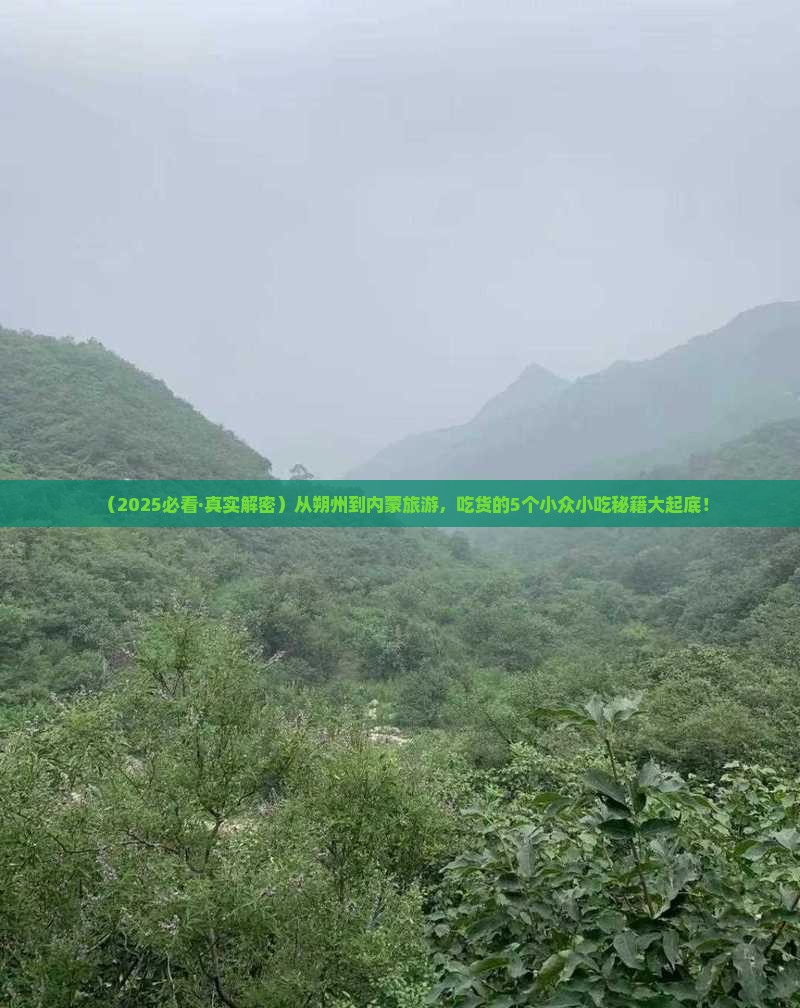 朔州到内蒙旅游小吃