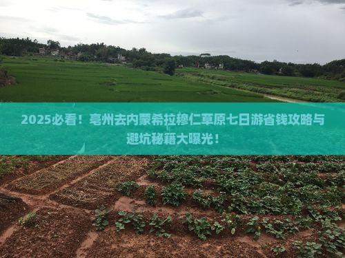 亳州去内蒙希拉穆仁草原七日游