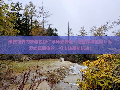 攀枝花去内蒙希拉穆仁草原必去地