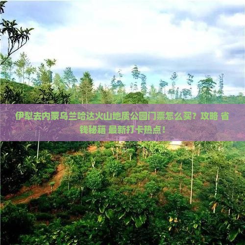 伊犁去内蒙乌兰哈达火山地质公园门票