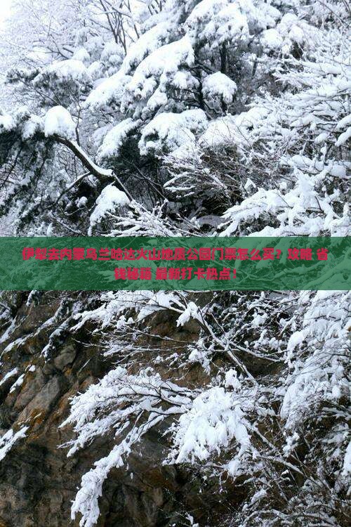 伊犁去内蒙乌兰哈达火山地质公园门票