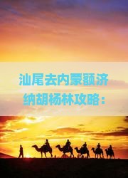 汕尾去内蒙额济纳胡杨林攻略