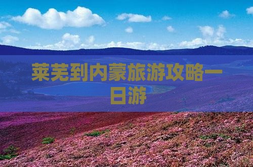 莱芜到内蒙一日游 莱芜到内蒙一日游