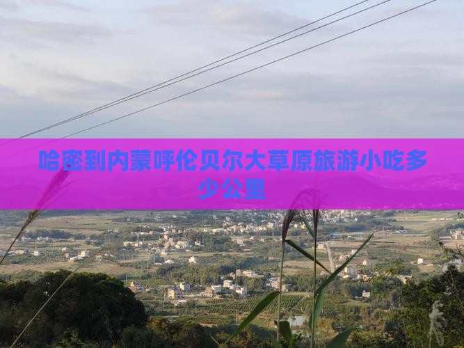 哈密到内蒙呼伦贝尔大草原旅游小吃