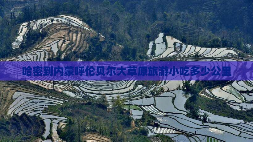 哈密到内蒙呼伦贝尔大草原旅游小吃