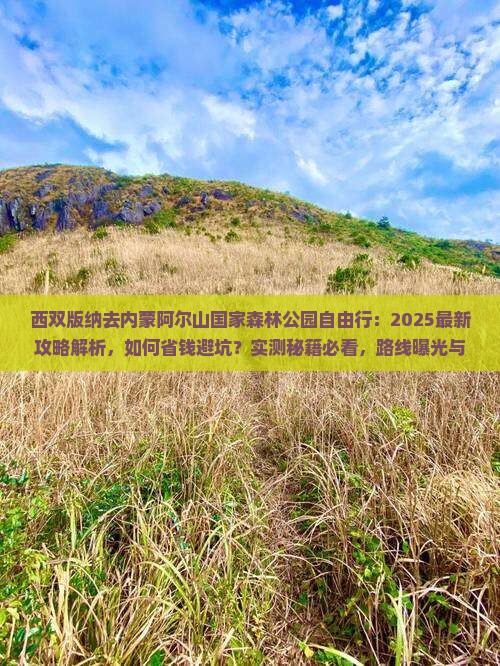 西双版纳去内蒙阿尔山国家森林公园自由行