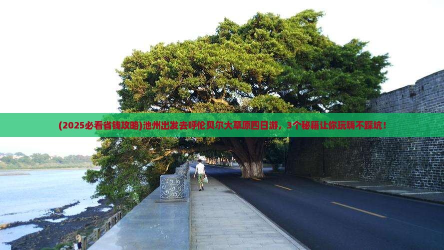 池州去内蒙呼伦贝尔大草原四日游