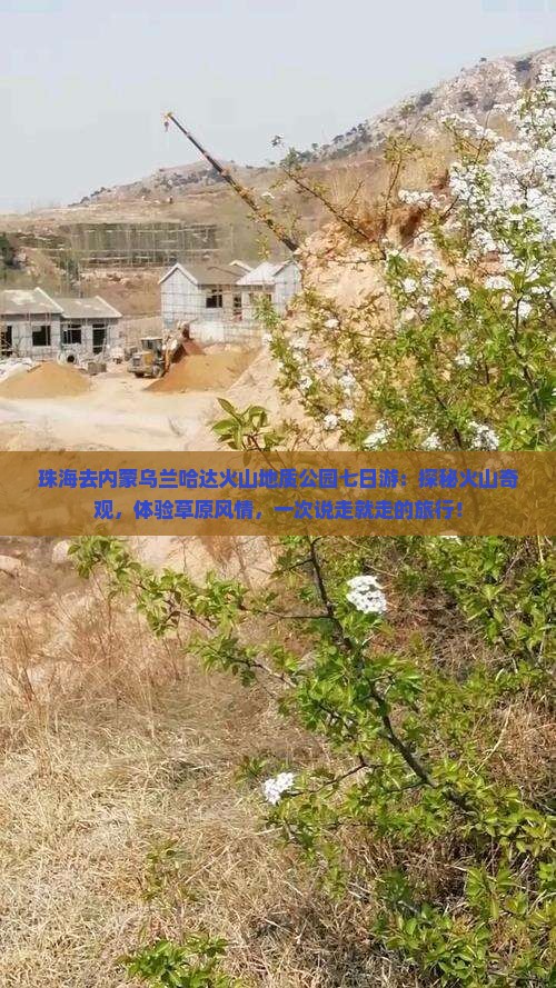 珠海去内蒙乌兰哈达火山地质公园七日游