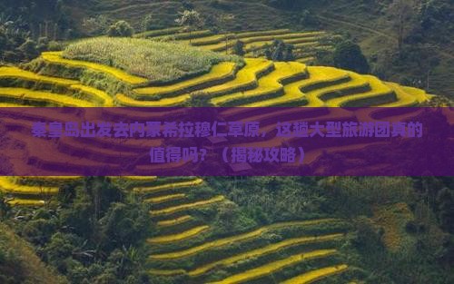 秦皇岛去内蒙希拉穆仁草原大型旅游团