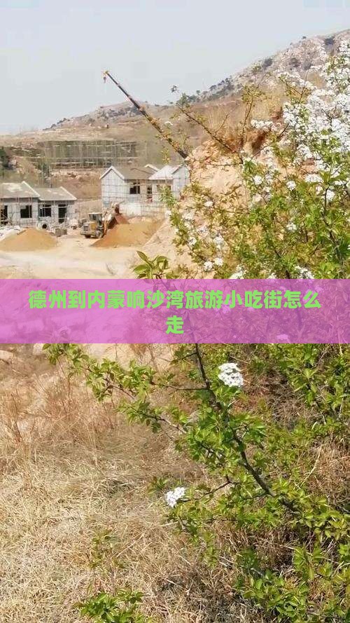 德州到内蒙响沙湾旅游小吃