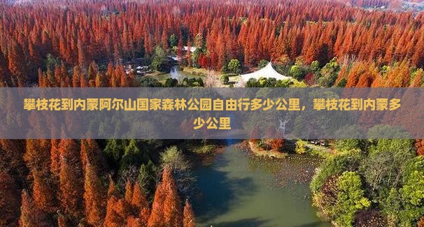 攀枝花到内蒙阿尔山国家森林公园自由行