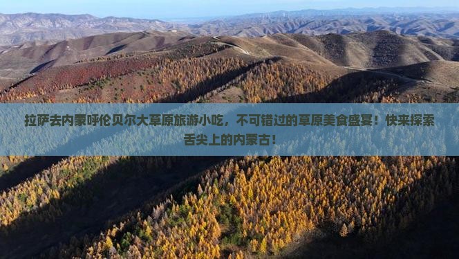 拉萨去内蒙呼伦贝尔大草原旅游小吃