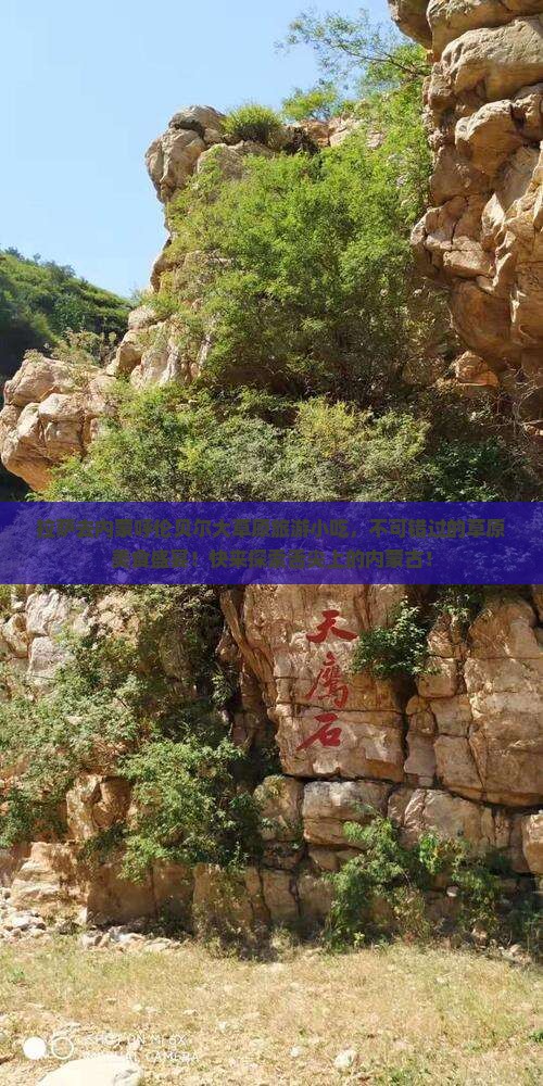拉萨去内蒙呼伦贝尔大草原旅游小吃