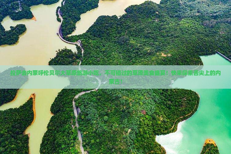 拉萨去内蒙呼伦贝尔大草原旅游小吃