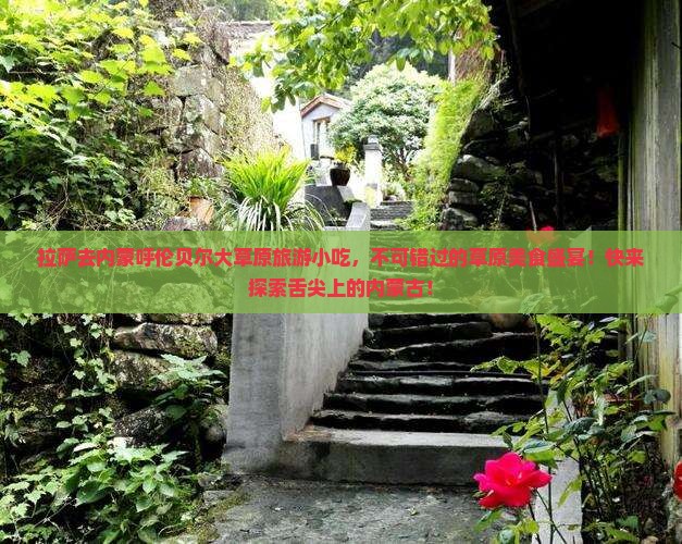 拉萨去内蒙呼伦贝尔大草原旅游小吃