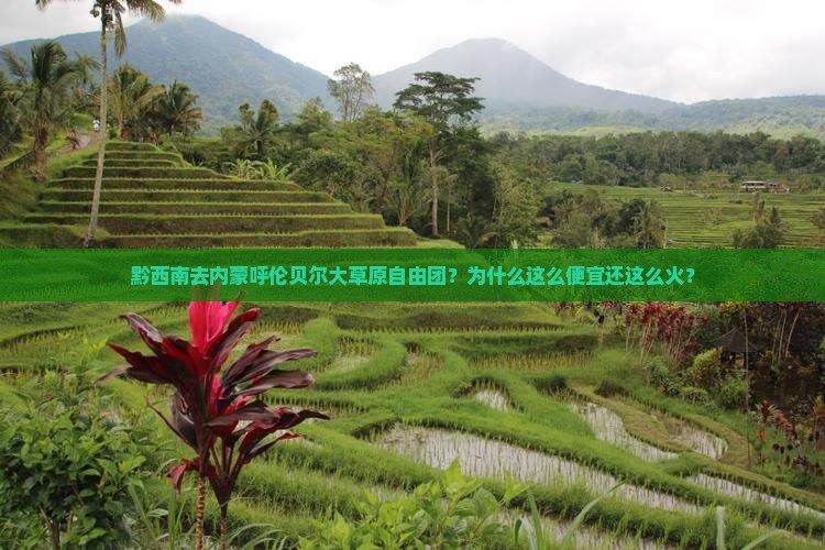 黔西南去内蒙呼伦贝尔大草原自由团