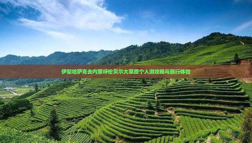 伊犁哈萨克去内蒙呼伦贝尔大草原个人游
