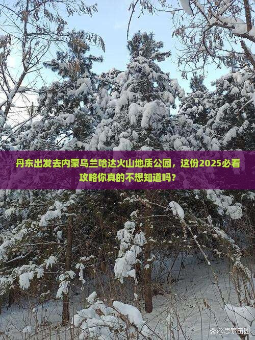 丹东去内蒙乌兰哈达火山地质公园攻略