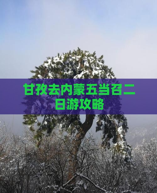 甘孜去内蒙五当召二日游