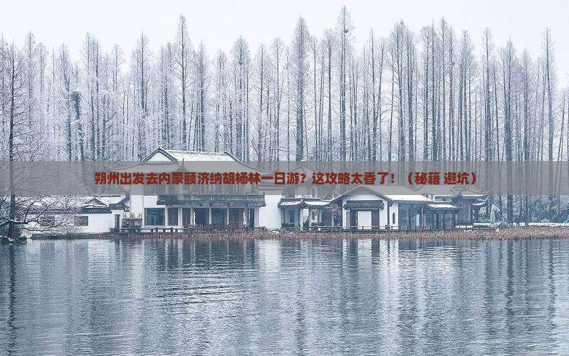 朔州去内蒙额济纳胡杨林一日游