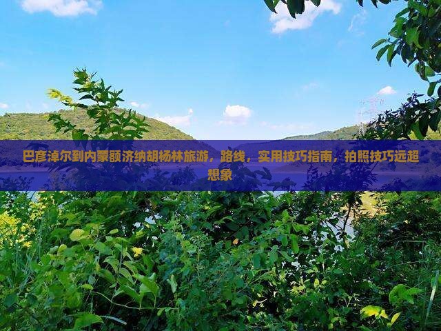 巴彦淖尔到内蒙额济纳胡杨林旅游 巴彦淖尔到内蒙额济纳胡杨林旅游