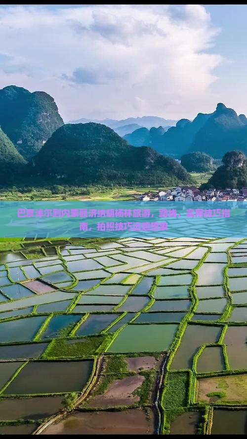 巴彦淖尔到内蒙额济纳胡杨林旅游 巴彦淖尔到内蒙额济纳胡杨林旅游