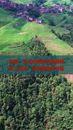 五月到内蒙额济纳胡杨林二日游