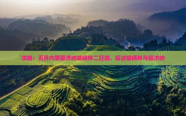 五月到内蒙额济纳胡杨林二日游