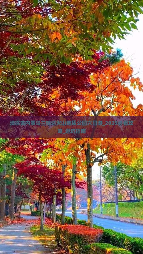 清徐去内蒙乌兰哈达火山地质公园六日游