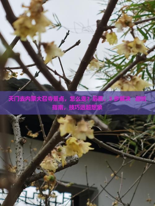 天门去内蒙大召寺景点