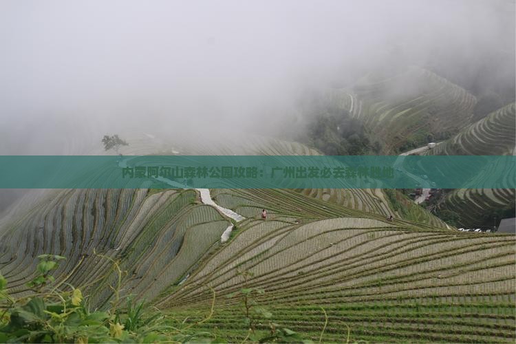 广州去内蒙阿尔山国家森林公园必去地