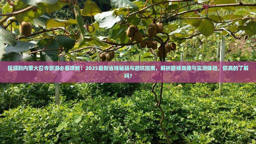抚顺到内蒙大召寺旅游