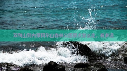 双鸭山到内蒙阿尔山国家森林公园景点