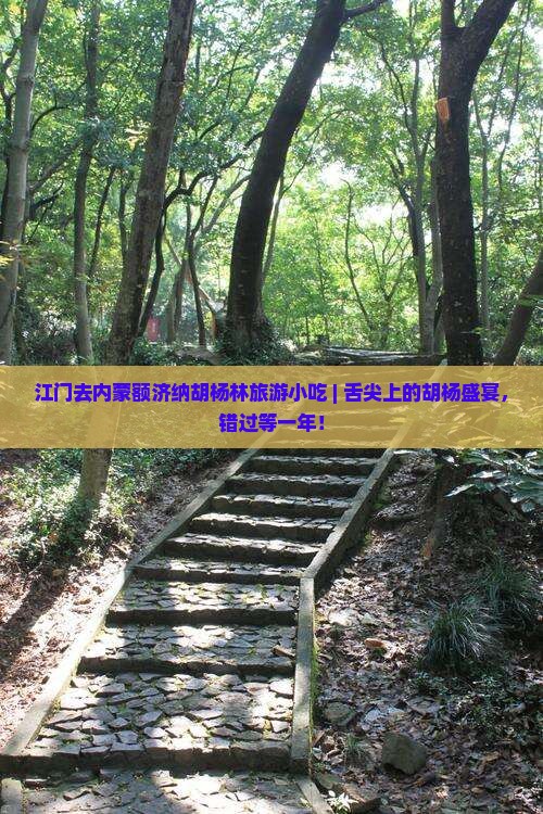 江门去内蒙额济纳胡杨林旅游小吃