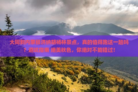 大同到内蒙额济纳胡杨林景点