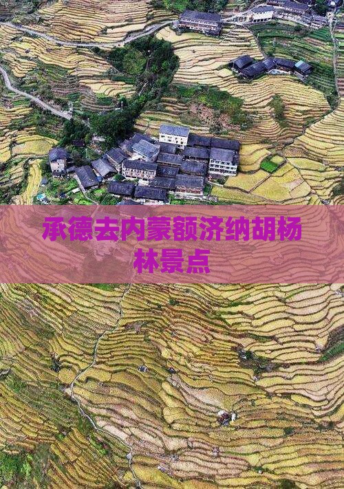 承德去内蒙额济纳胡杨林景点