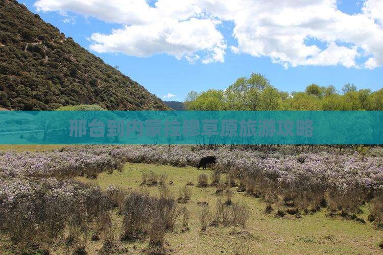 邢台到内蒙希拉穆仁草原哪里玩