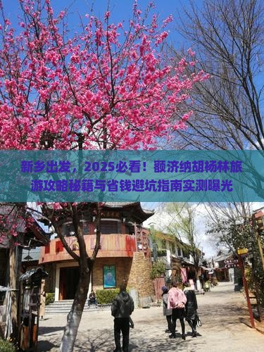 新乡去内蒙额济纳胡杨林旅游