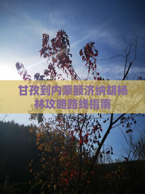 甘孜到内蒙额济纳胡杨林攻略
