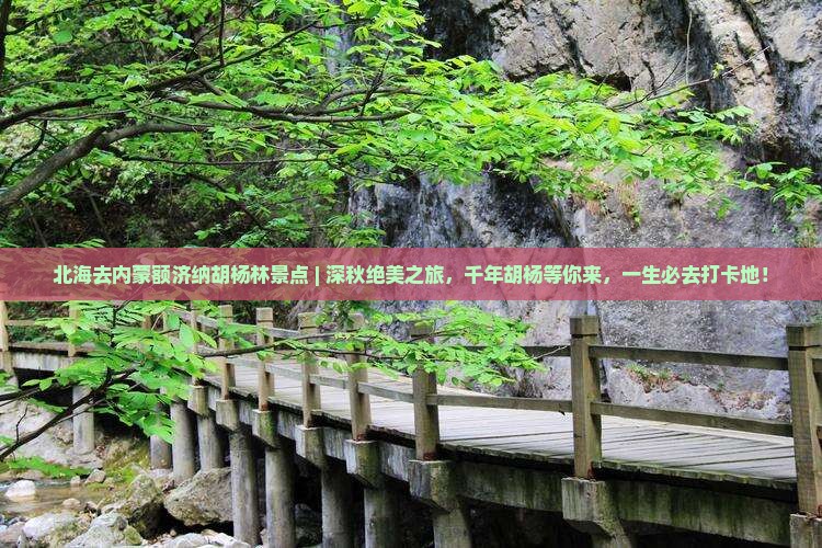 北海去内蒙额济纳胡杨林景点
