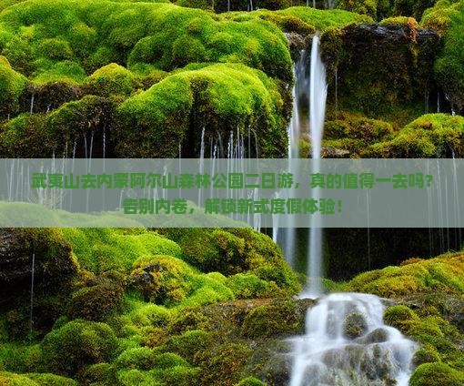 武夷山去内蒙阿尔山国家森林公园二日游
