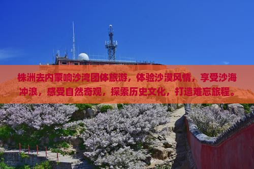 株洲去内蒙响沙湾团体旅游