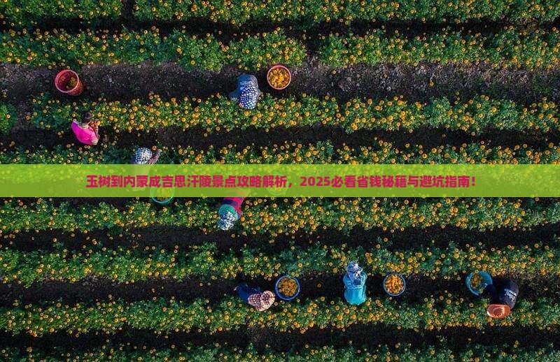 玉树到内蒙成吉思汗陵景点